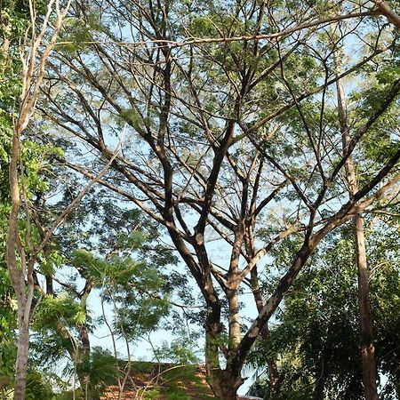 Rumah Jah Langkawi Pantai Cenang  Ngoại thất bức ảnh