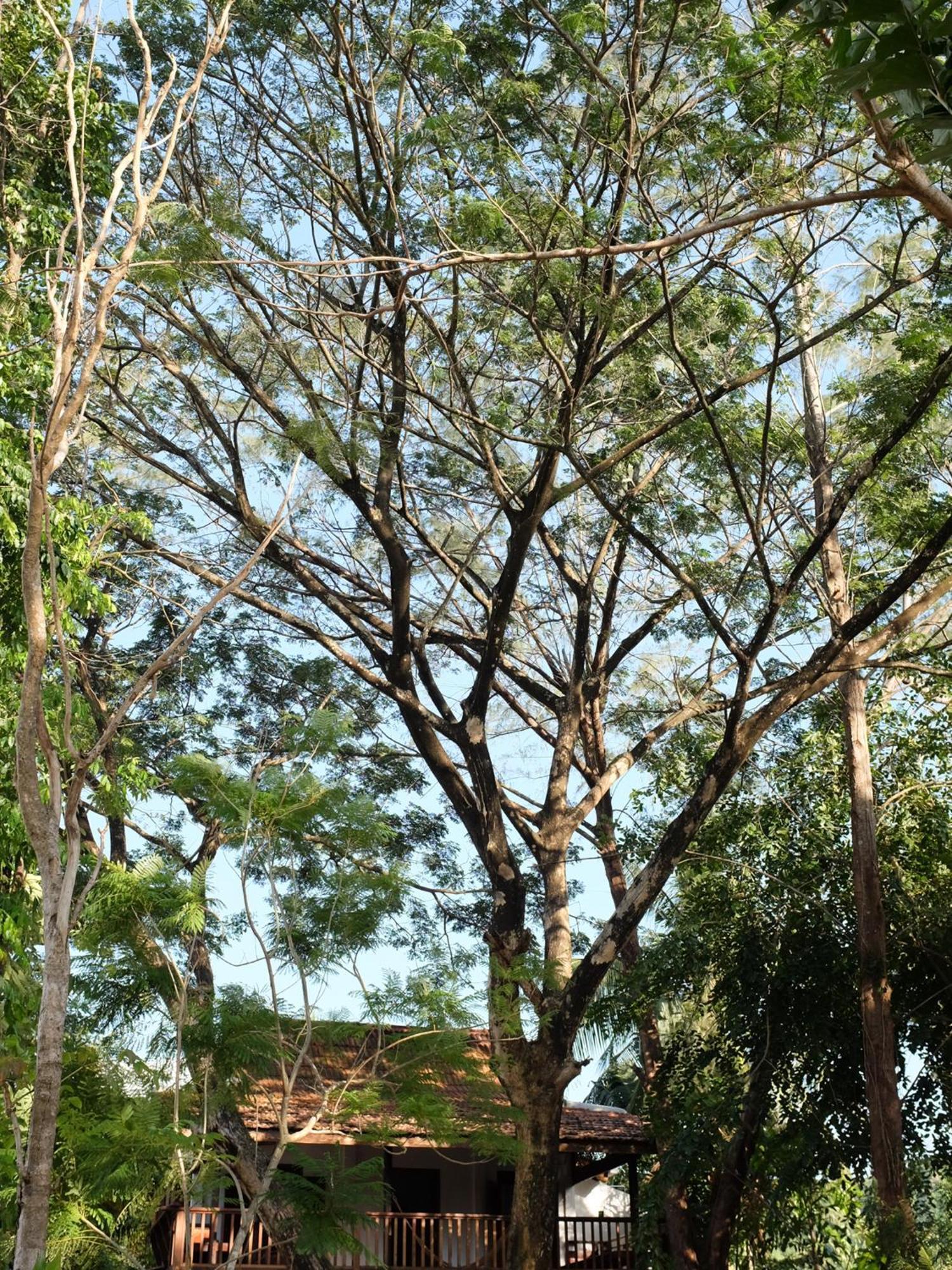 Rumah Jah Langkawi Pantai Cenang  Ngoại thất bức ảnh