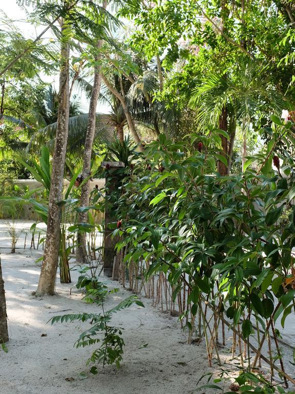 Rumah Jah Langkawi Pantai Cenang  Ngoại thất bức ảnh